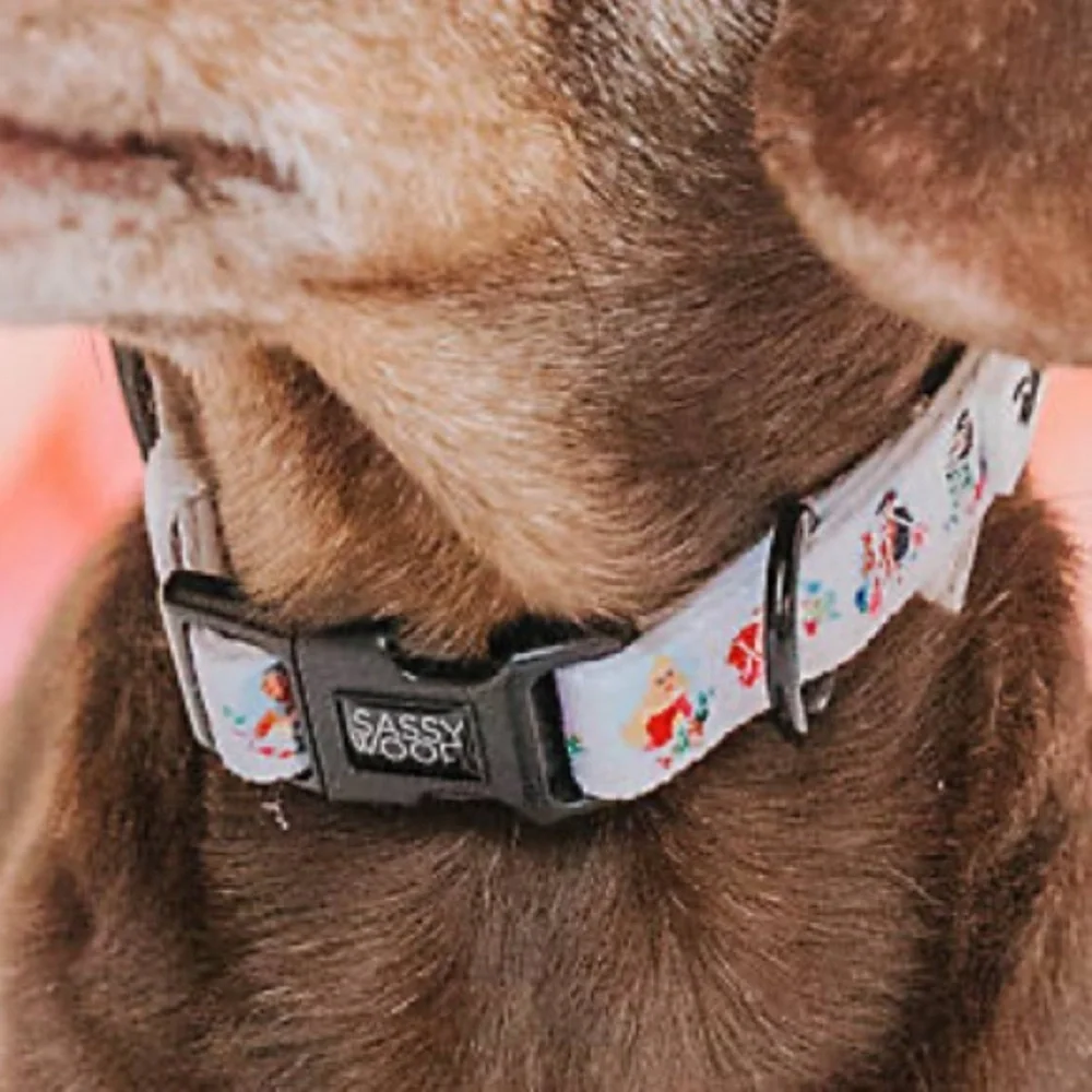 Disney Princess Dog Collar by Sassy Woof